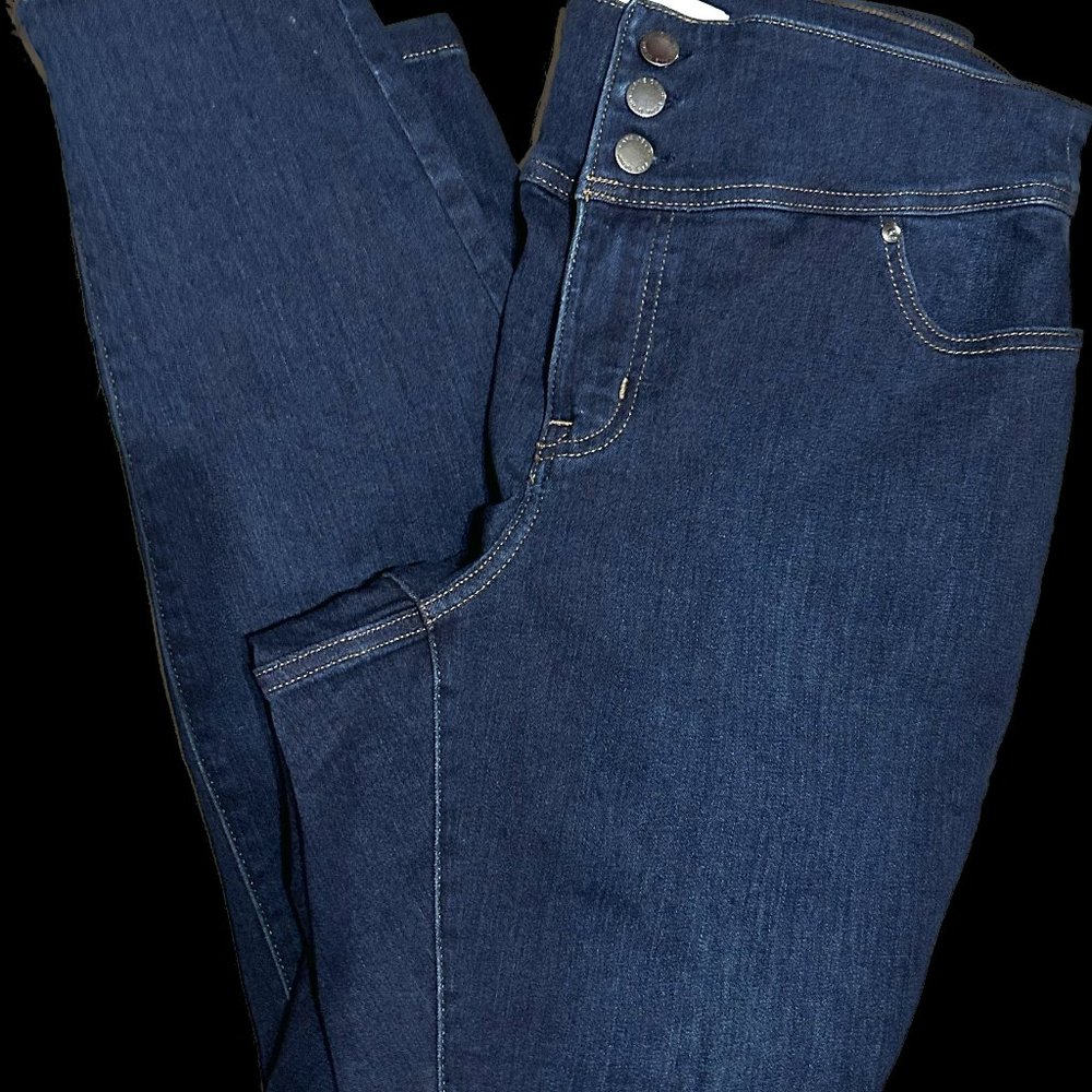 Lane Bryant Jeggings